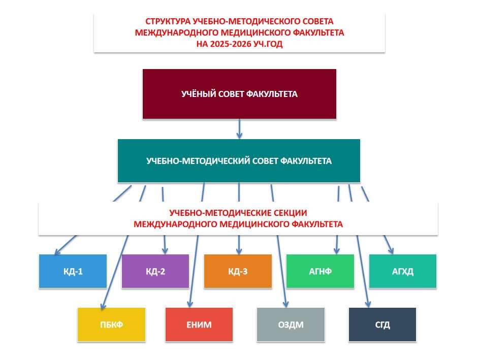 Структура Учебно-методического совета ММФ
